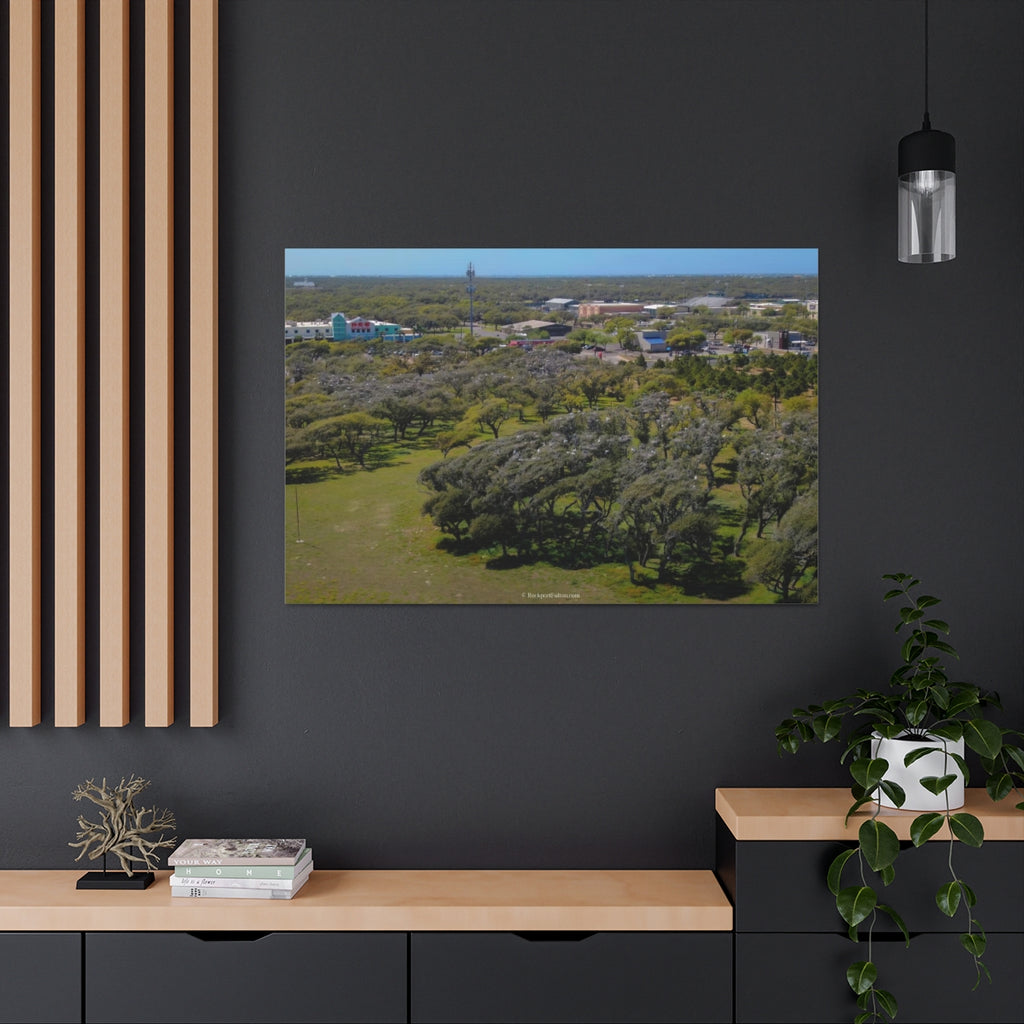 The Gathering at the Bent Oak Rookery Park Large Print Canvas Gallery Wrap